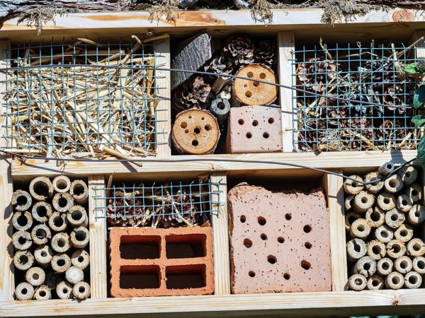 Insect Hotel