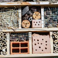 Insect Hotel