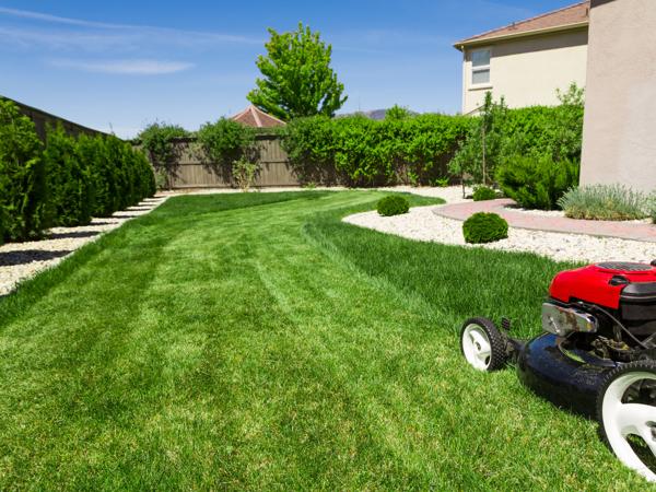 lawn mower on green lawn