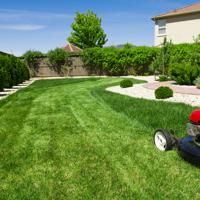 Discover how lawn mowing robots can simplify your gardening routine and transform lawn care into a seamless experience.