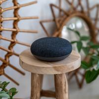 Google Home Mini