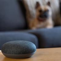 This article compares Google Assistant and Alexa to help you choose the best voice assistant for your smart home.