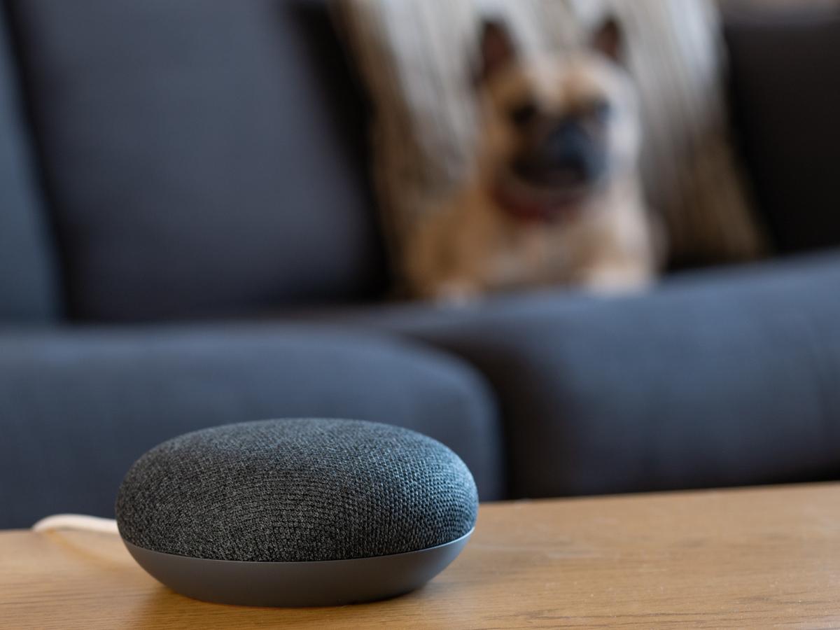 Alexa Smart Speaker