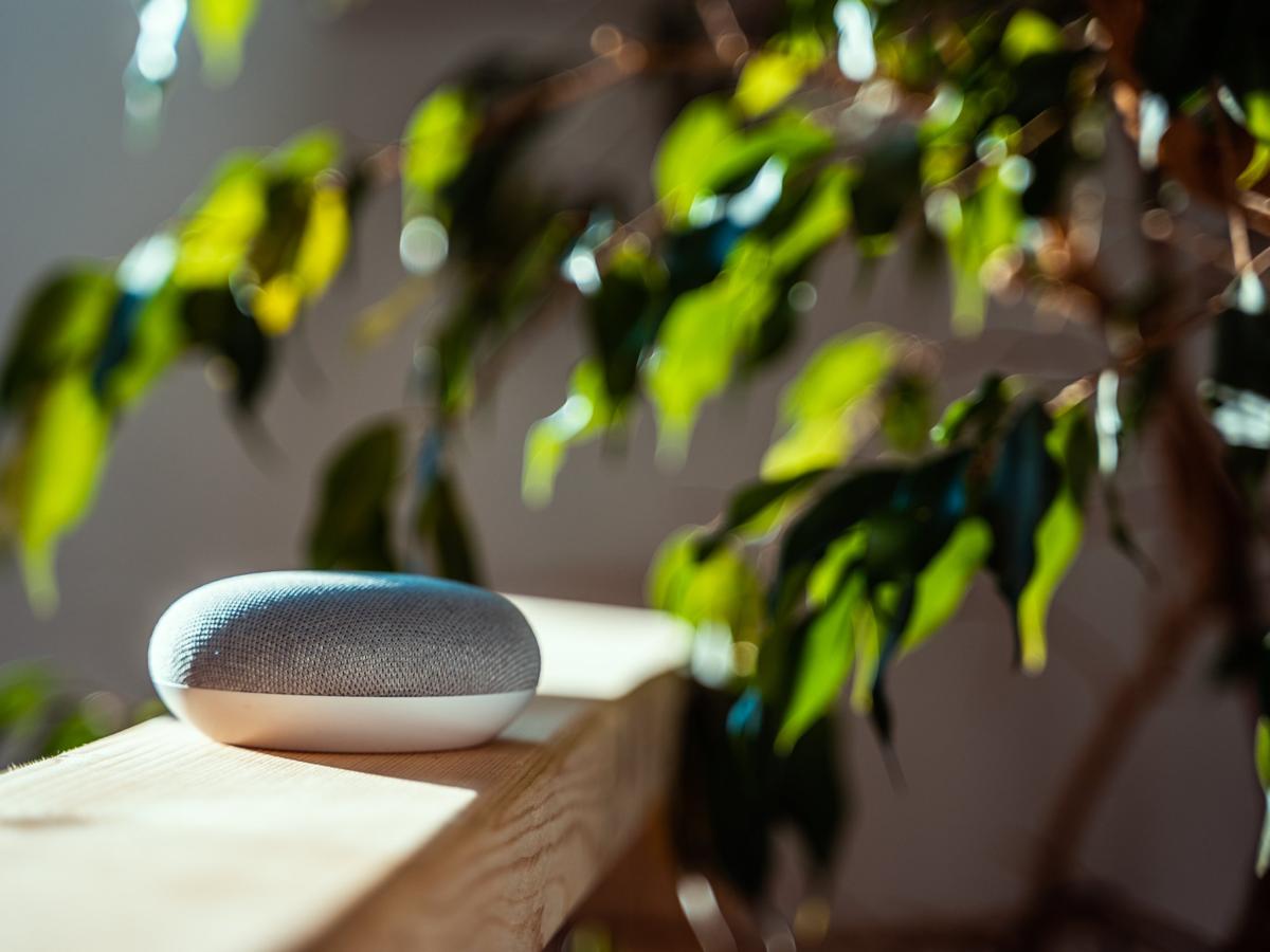 Voice-controlled smart speaker